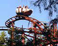 Wild Mouse