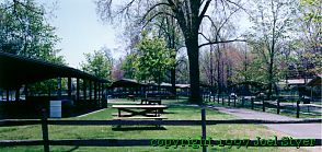 grove1.jpg (17583 bytes)