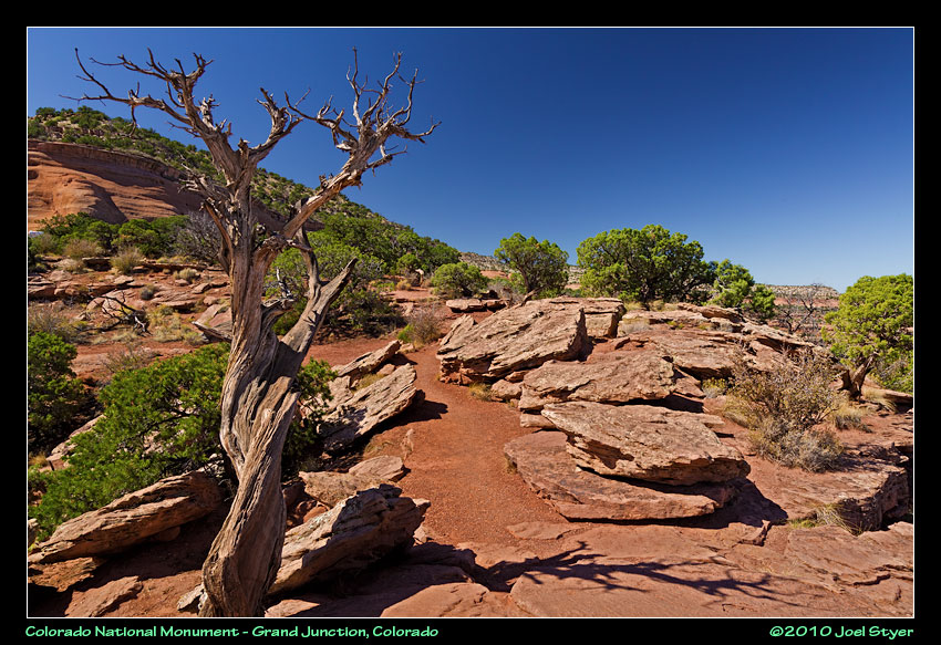 Colorado 2010 Photos page 1